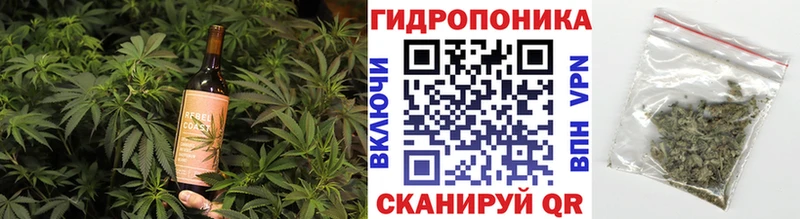 Купить где  Избербаш  Canna-Cookies конопля 