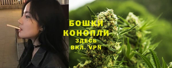 винт Новокубанск