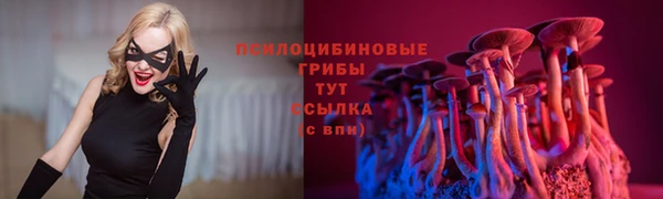 мяу мяу кристалл Новозыбков