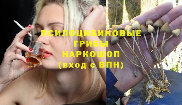 винт Новокубанск
