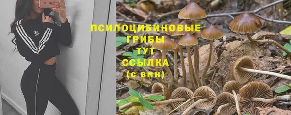 мяу мяу кристалл Новозыбков