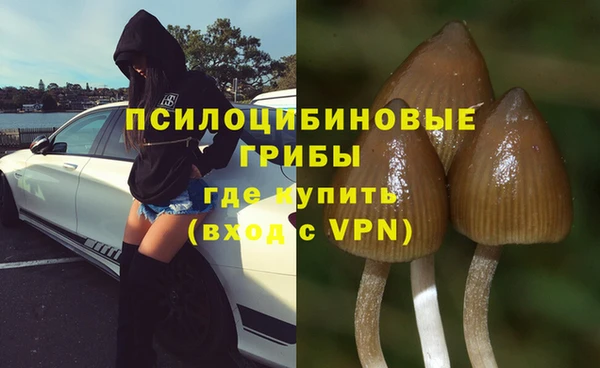 мяу мяу кристалл Новозыбков