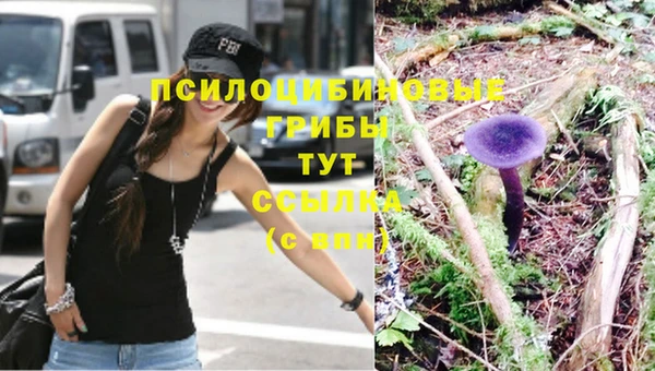 мяу мяу кристалл Новозыбков