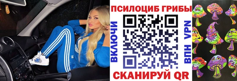Купить  Избербаш  Псилоцибиновые грибы мицелий 