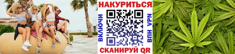 Бошки Шишки план  Купить закладки  Избербаш 
